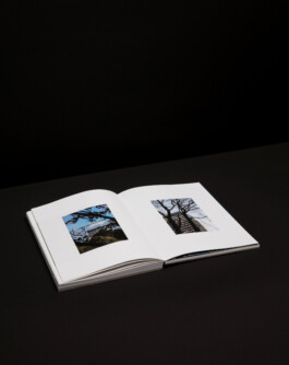 Portfolio → Antonia Stallmann