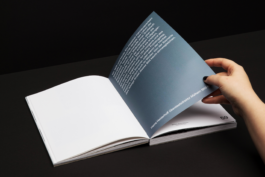 Portfolio → Antonia Stallmann