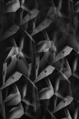 Portfolio → Antonia Stallmann