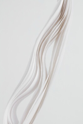 Portfolio → Antonia Stallmann