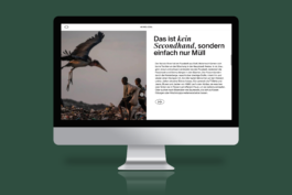 Portfolio → Antonia Stallmann