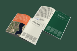 Portfolio → Antonia Stallmann