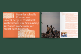 Portfolio → Antonia Stallmann