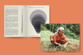 Portfolio → Antonia Stallmann